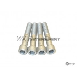 Vis étrier/support étrier avant (94-96, 304mm, M12x1.5x65)