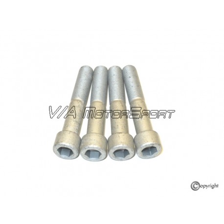 Kit vis étrier/support étrier avant (94-96, 304mm, M12x1.5x65)