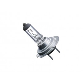 Ampoule phare avant "H7" (92-, H7-12V55W, blanche)