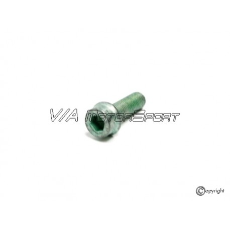 Vis support étrier de frein arrière gauche/droite (97-10, M10x1.25x30) -  V/A MotorSport