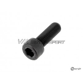 Vis volant moteur H.P. moteur VR6 2.8-2.9L 12V (91-00, M10x1.0x35)