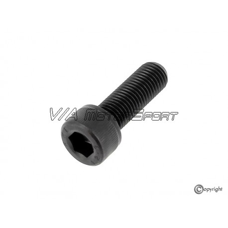 Vis volant moteur H.P. moteur VR6 2.8-2.9L 12V (91-00, M10x1.0x35)