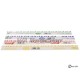 Kit plastigage Bleu (0.004-0.009"/0.100-0.230mm)