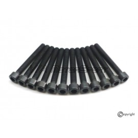 Kit vis paliers vilebrequin H.R. moteur R5 1.9-2.3L/2.0-2.5L 10-20VT/10V D/TDI (77-06, M10x80)