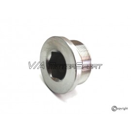 Bouchon boîte de vitesses (74-11, V2A, M36x1.5)