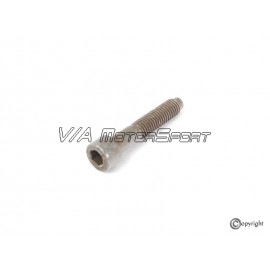 Vis collecteur d'admission (91-10, M8x45)