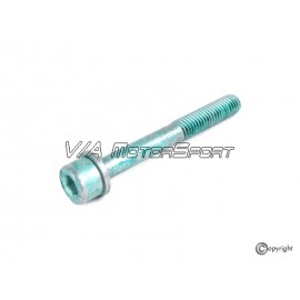 Vis collecteur d'admission (81-10, M8x65)