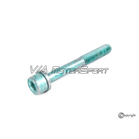 Vis collecteur d'admission (81-10, M8x65)