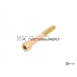 Vis support galet tendeur courroie alternateur moteur R5 2.2-2.3L 10-20VT (91-97, M8x60)